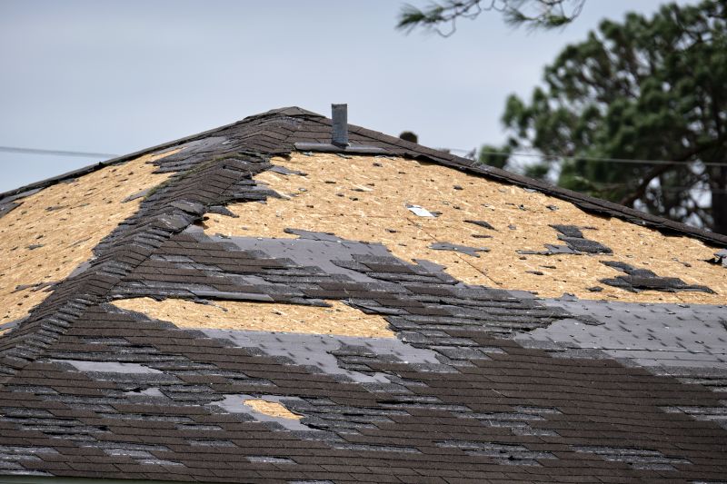 Roof Repair and Restoration